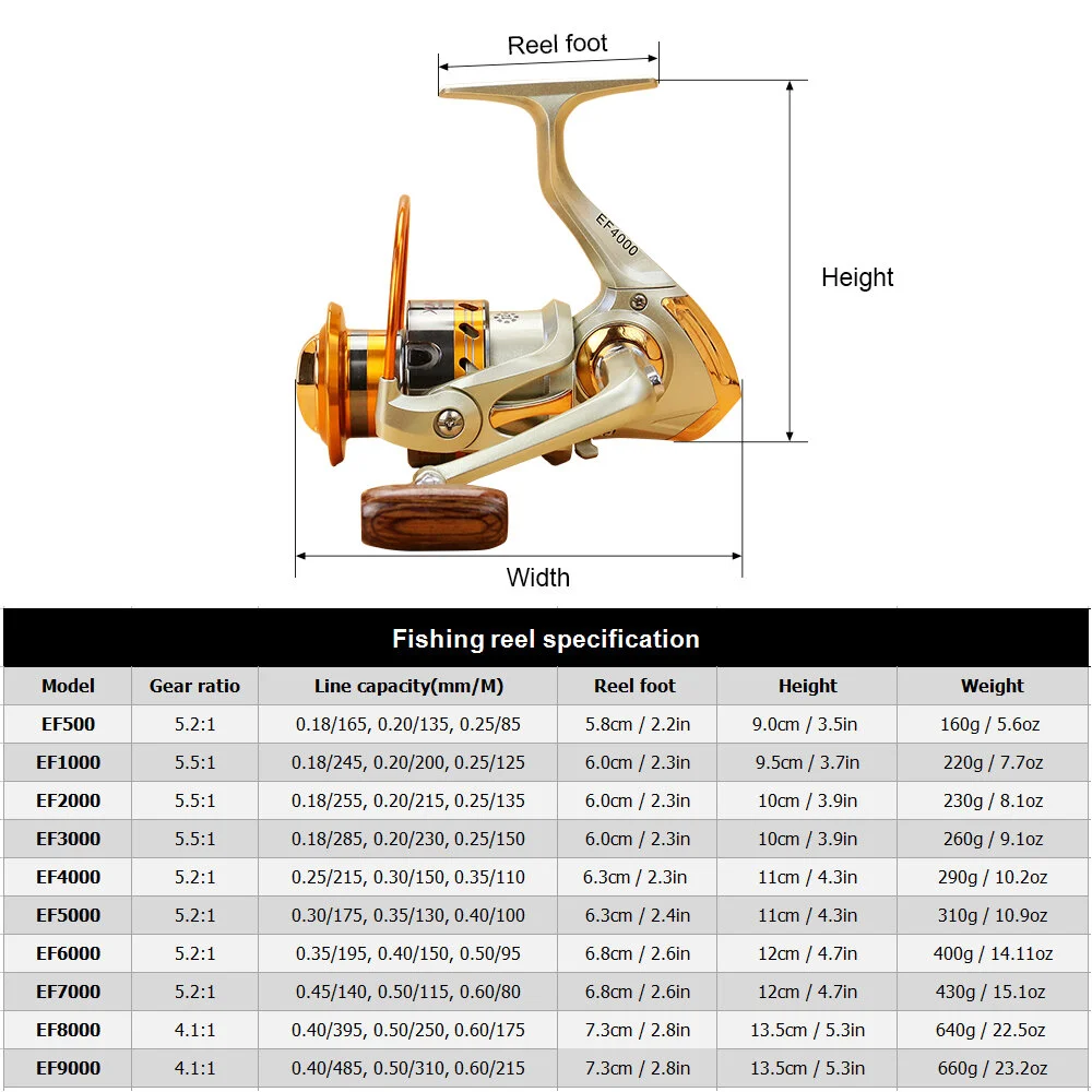 Wright Adventure Shop
